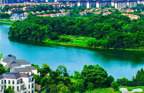 金山橋街道環(huán)衛(wèi)清掃保潔維護服務(wù)項目